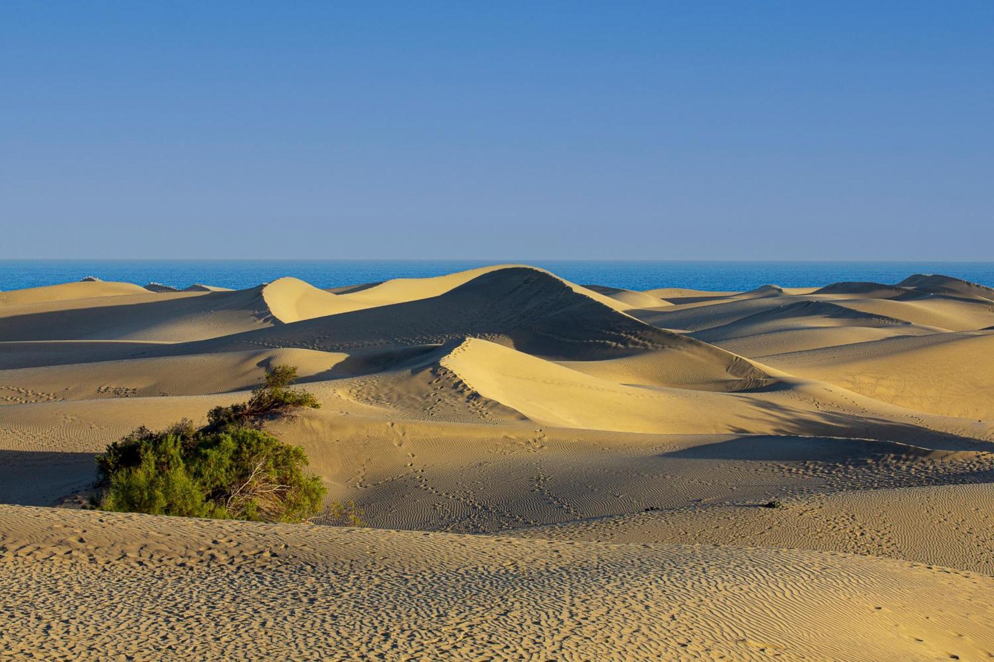 Nice 2 Bedroom Close To The Beach In Maspalomas Playa del Inglés Exteriör bild